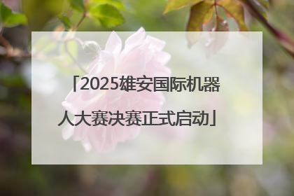 2025雄安国际机器人大赛决赛正式启动