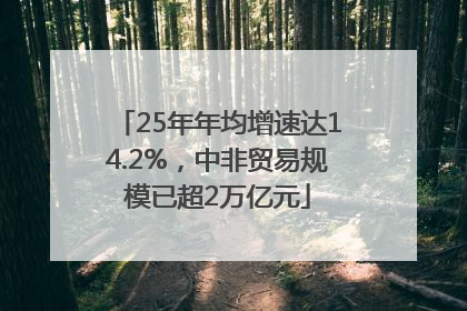 25年年均增速达14.2%，中非贸易规模已超2万亿元