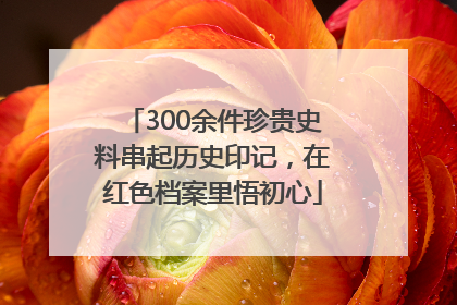 300余件珍贵史料串起历史印记，在红色档案里悟初心