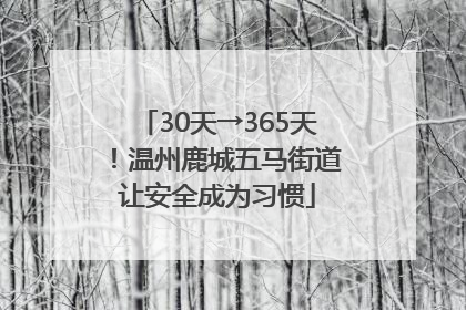30天→365天！温州鹿城五马街道让安全成为习惯
