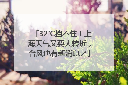 32℃挡不住！上海天气又要大转折，台风也有新消息↗