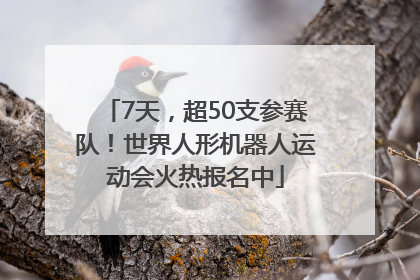 7天，超50支参赛队！世界人形机器人运动会火热报名中