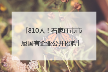 810人！石家庄市市属国有企业公开招聘