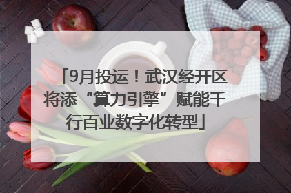 9月投运！武汉经开区将添“算力引擎”赋能千行百业数字化转型