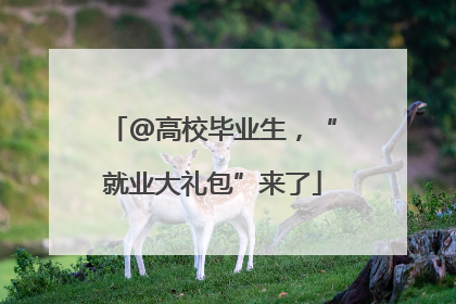 @高校毕业生，“就业大礼包”来了