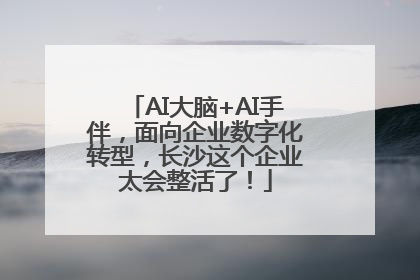 AI大脑+AI手伴，面向企业数字化转型，长沙这个企业太会整活了！