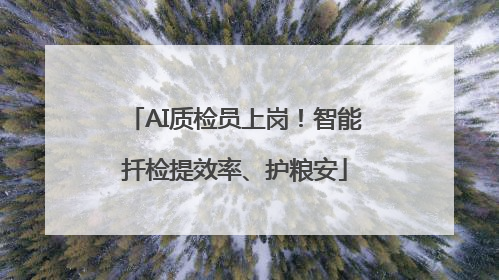 AI质检员上岗！智能扦检提效率、护粮安