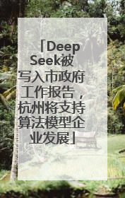 DeepSeek被写入市政府工作报告，杭州将支持算法模型企业发展