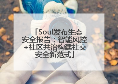 Soul发布生态安全报告：智能风控+社区共治构建社交安全新范式