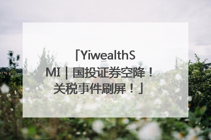 YiwealthSMI｜国投证券空降！关税事件刷屏！